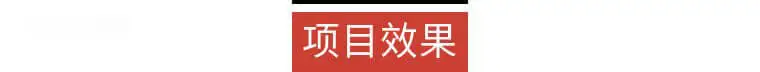 项目效果.png